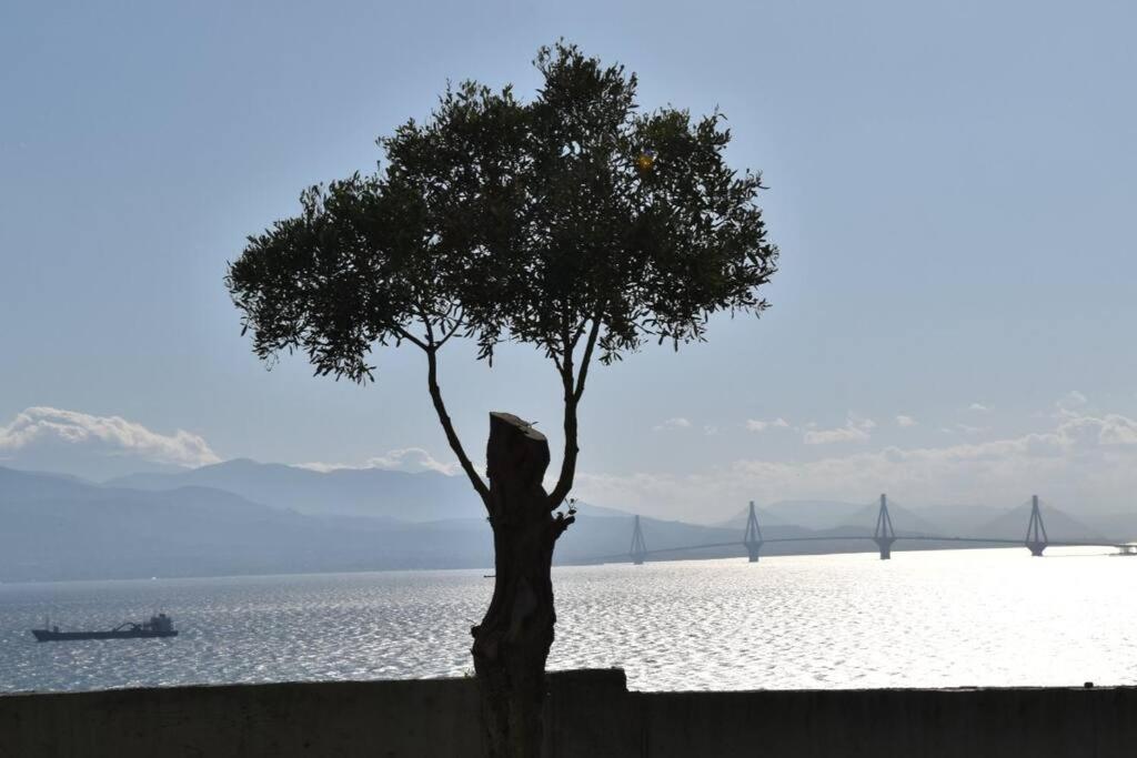 Belle Vue Villa Paliopanagia Bagian luar foto